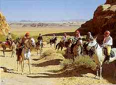 Horse riding vacations in Egypt