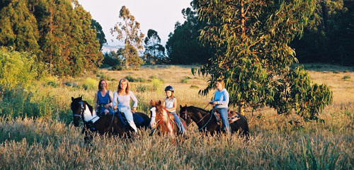Family equestrian Vacations