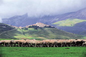 Guided and self guided walking tours in Italy
