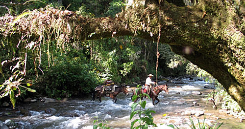 On horseback in Mexico with Pepe Schravesande