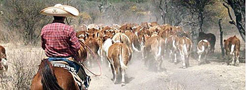 Five haciendas Ride