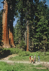 Yosemite