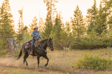 Routt National Forest Guest Ranch