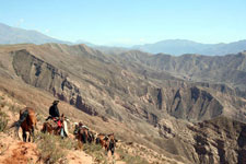 Inca Trails near Salta
