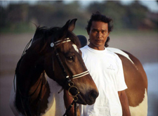 Bali on Horseback