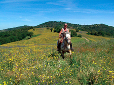 Relaxed Tuscan Ride