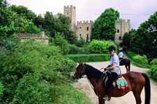 Tuscan Discovery Week
