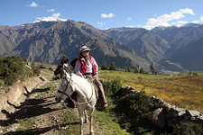 Colca Canyon Explorer Ride on Peruvian Pasos