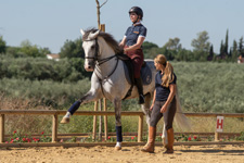 Classical Dressage Clinic - in Southern Spain