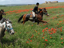 Catalonia Explorer Ride