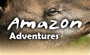 Amazon vacations in Peru, Amazon