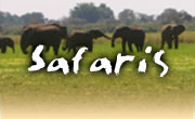 Safaris vacations in South Africa, Waterberg