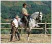 Equestrian Training in Portugal