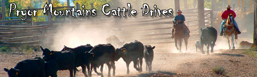 Pryor Mountains Cattle Drives