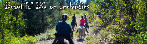 Beautiful BC on Icelandics