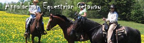 Appalachian Equestrian Getaway