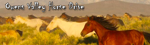 Owens Valley Horse Drive