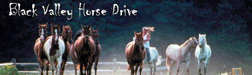 Black Lake - June Lake  Horse Drive
