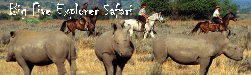 Big Five Explorer Safari
