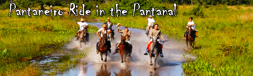 Pantaneiro Ride in the Pantanal