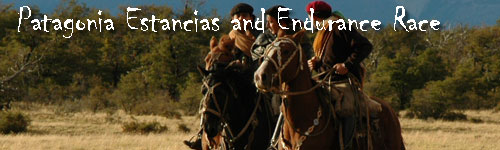 Patagonia Estancias and Endurance Race
