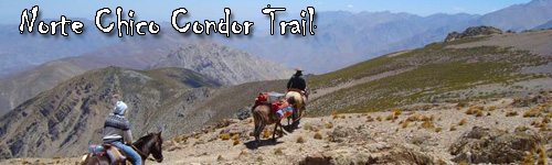 Norte Chico Condor Trail