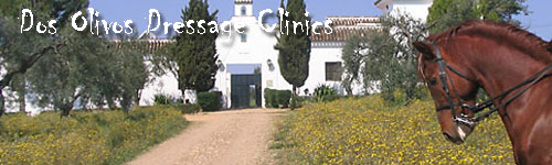 Dos Olivos Dressage Clinics