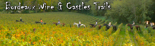 Bordeaux Wine & Castles Trails