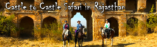 Castle to Castle Safari in Rajasthan