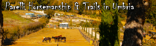 Parelli Natural Horsemanship & Trails in Umbria
