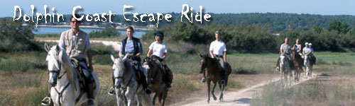Dolphin Coast Escape Ride