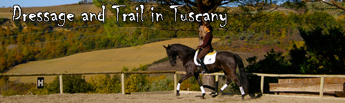 Dressage and Trail in Tuscany