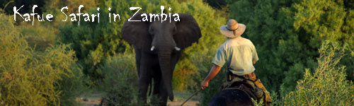 Shiwa Ngandu Deluxe Horse Safari