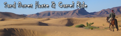 Sand Dunes Horse & Camel Ride