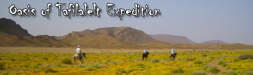 Oasis of Tafilalelt Expedition