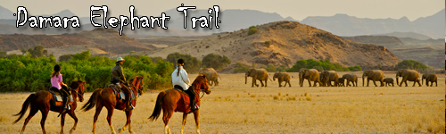 Damara Elephant Trail to Skeleton Coast