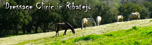Dressage Clinic in Ribatejo