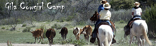 Gila Cowgirl Camp