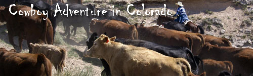 Cowboy Adventure in Colorado