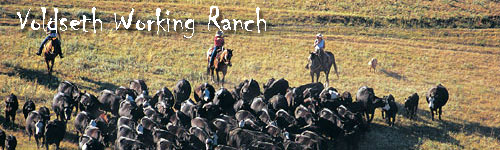 Voldseth Working Ranch
