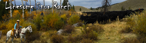 Lonesome Spur Ranch