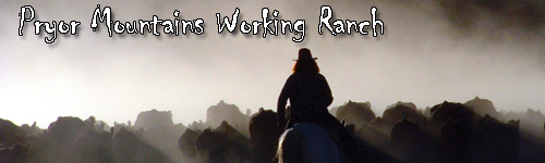 Pryor Mountains Working Ranch