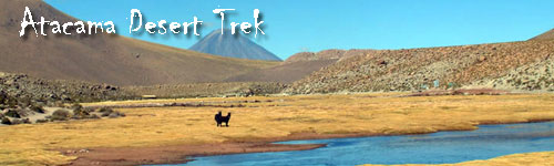 Hiking - Atacama Desert Trek
