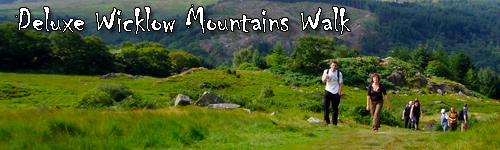 Deluxe Wicklow Mountains Walk