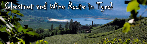 Chestnut and Wine Route in Tyrol