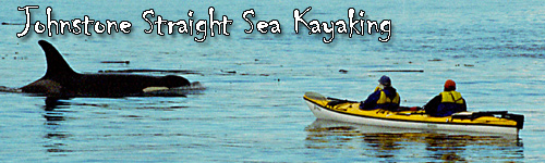 Johnstone Straight Sea Kayaking