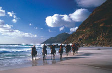 The Grand Western Cape Ride