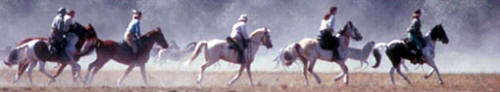 Riding with Wildlife