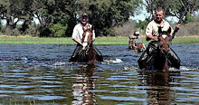 Riding in the Okavango Delta
