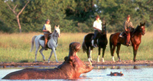 Okavango Delta Macatoo Safari
